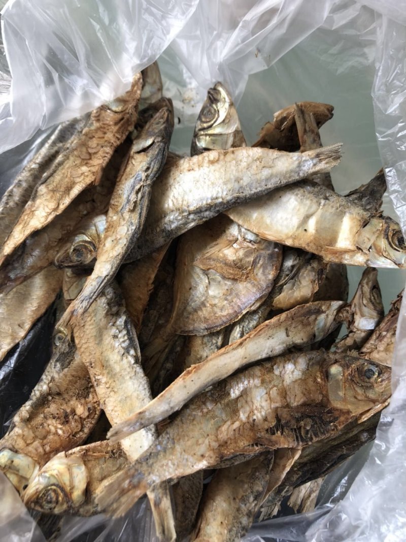 饲料鱼干海边直发价格美丽