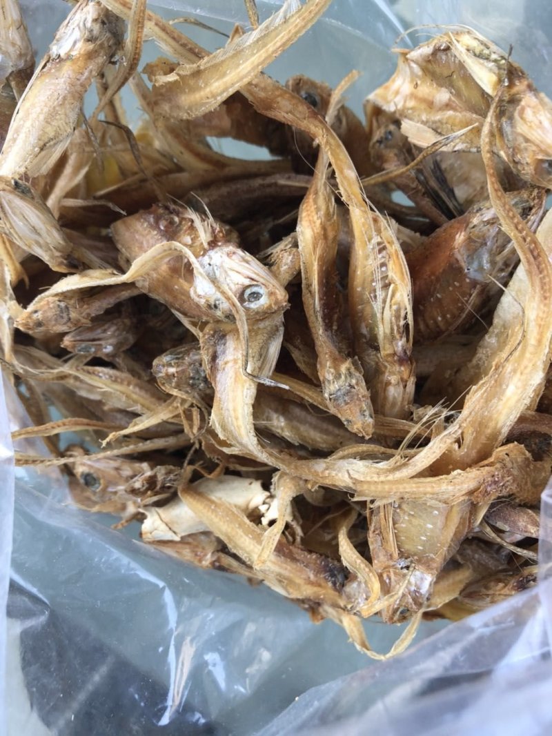 饲料鱼干海边直发价格美丽