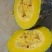 香芋南瓜高端品种南瓜。