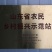 新品种金银花苗，15天不开花的金银花苗，量大从优。