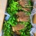 大量批发纯正九叶青花椒芽苗花椒小苗花椒苗天知椒苗
