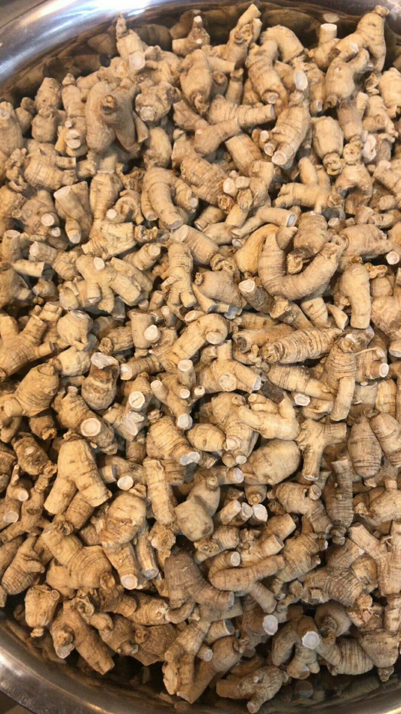 西洋参粒头花旗参粒头产地销售5年颗颗精选包邮