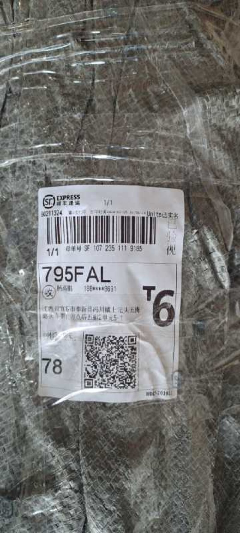 柿子苗-柿子苗成品-柿子树苗《柿子苗培育基地》