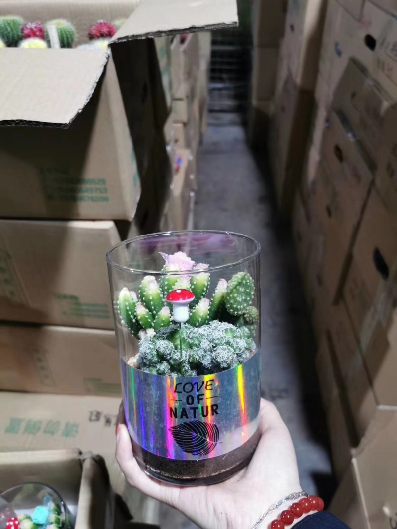高脚杯混装15装，150元一件