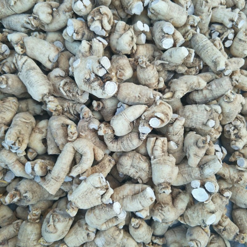 西洋参粒头花旗参粒头产地销售5年颗颗精选包邮