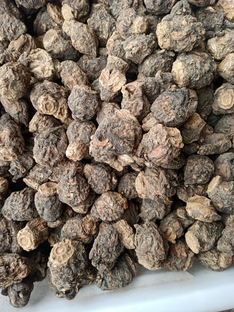 黑玛卡！黄玛卡！统个颗粒！大货批发一手货源！