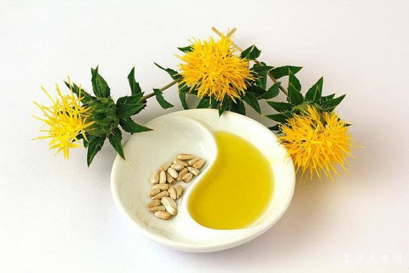 红花籽油红花油红花食用油