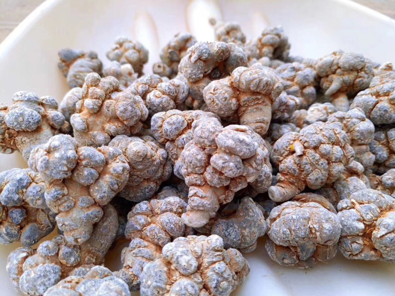 云南文山红三七（带剪囗）产地直销选货