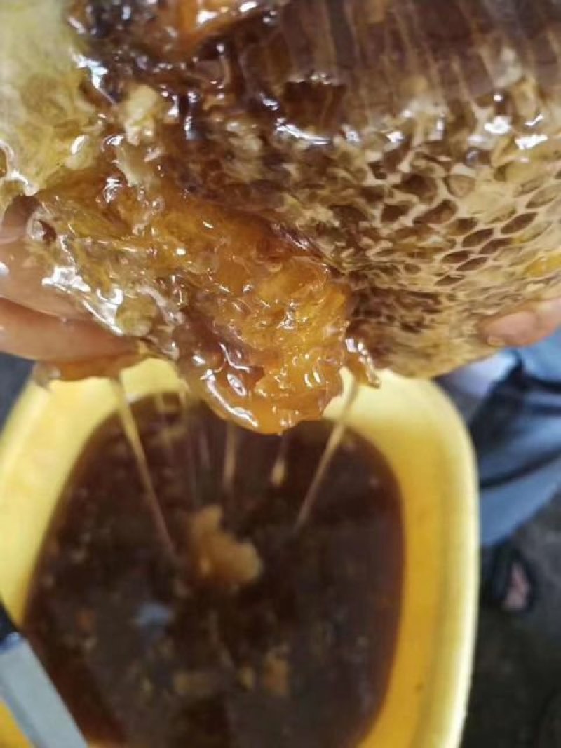 贵州大山生长野生蜂蜜