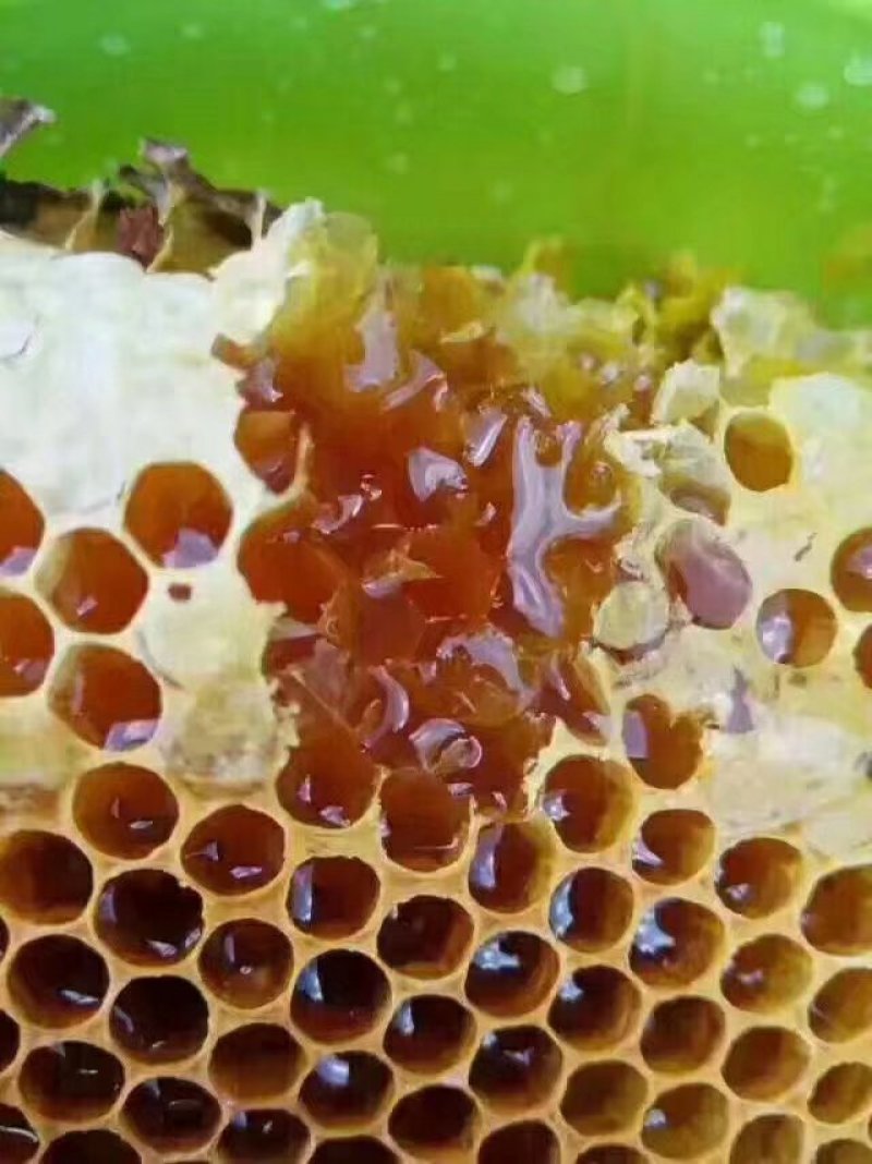 贵州大山生长野生蜂蜜