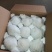 河北雪梨赵州雪花梨5斤10斤新鲜当季水果一件包邮