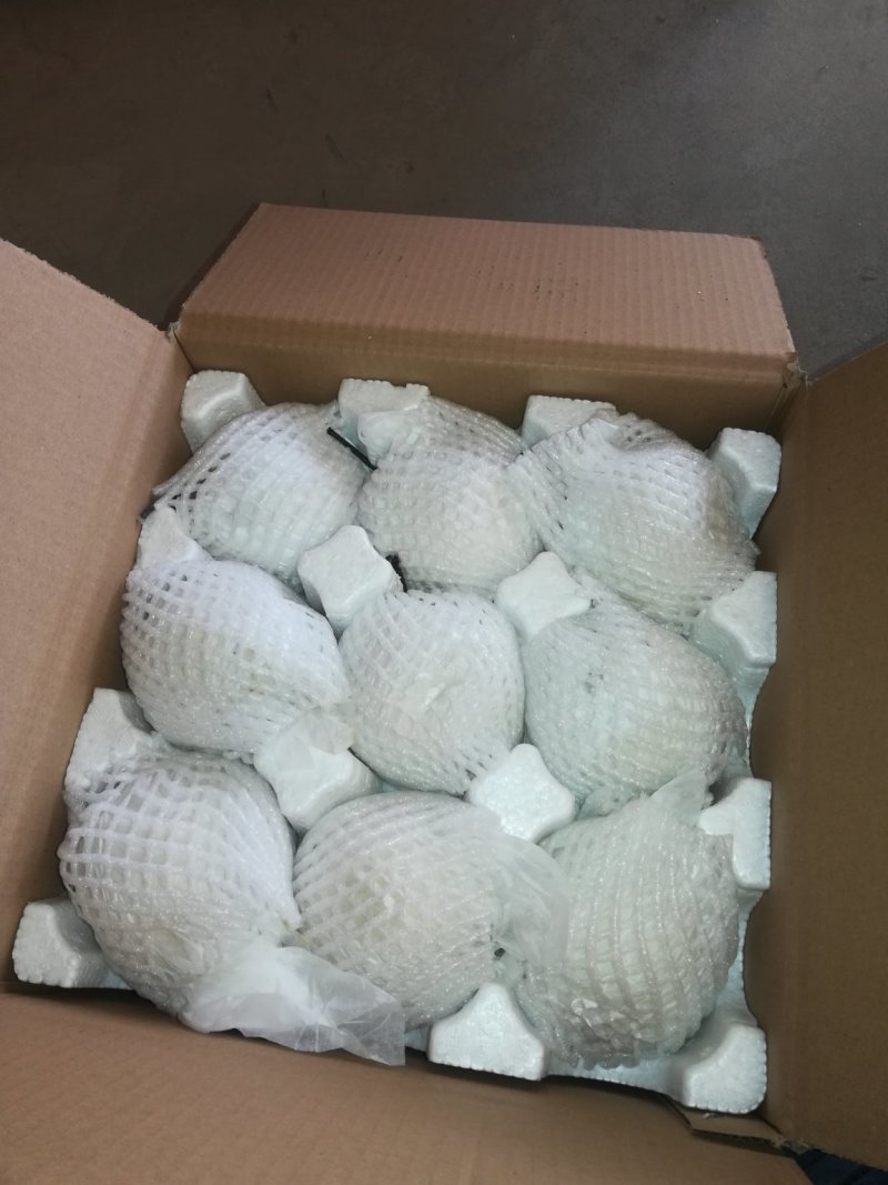 河北雪梨赵州雪花梨5斤10斤新鲜当季水果一件包邮