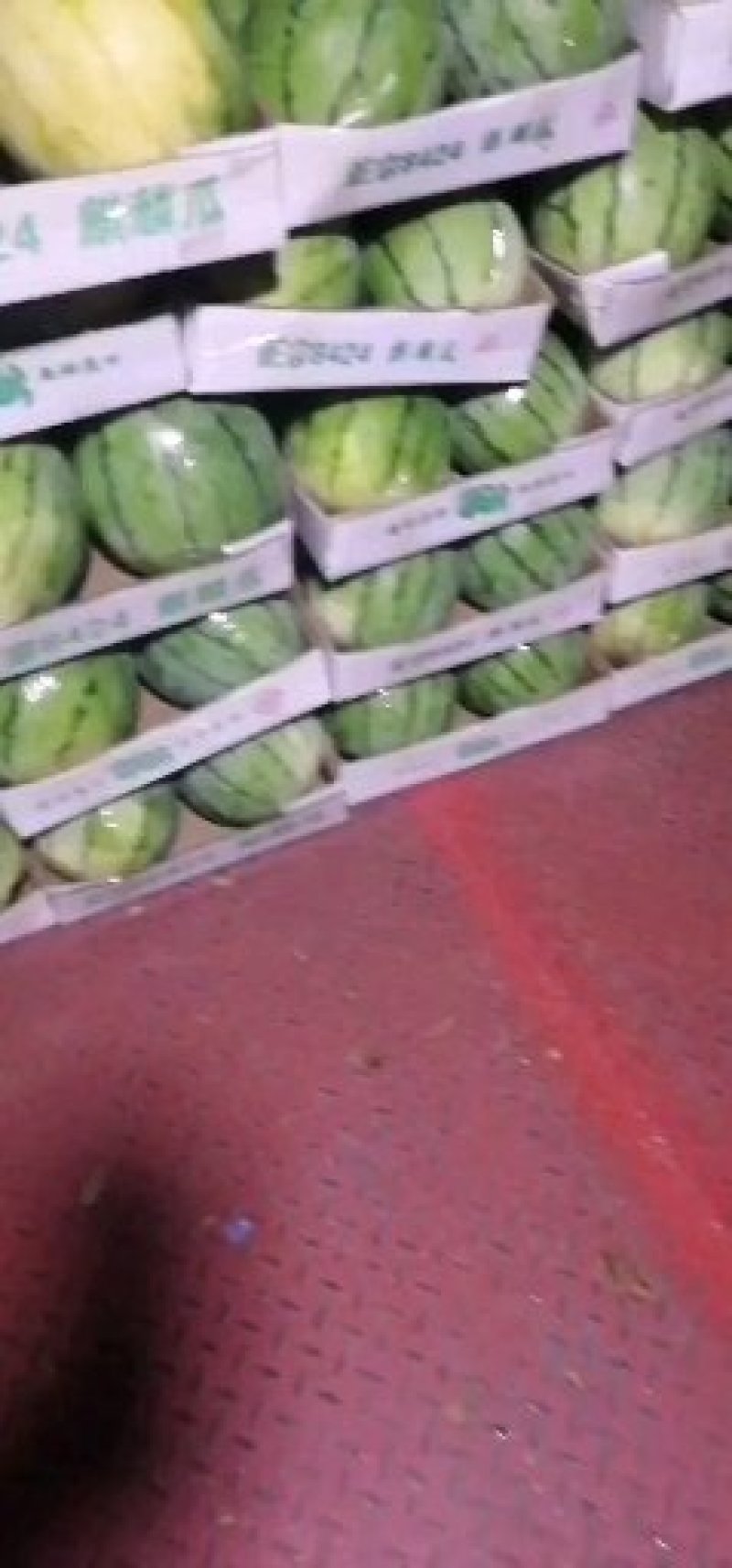 湖南大棚8424麒麟瓜，支持产地看货，视频看货。