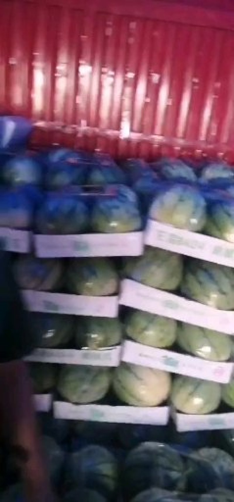 湖南大棚8424麒麟瓜，支持产地看货，视频看货。