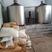 实力海南儋州发酵羊粪常年供应羊粪蛋视频看货量大从优