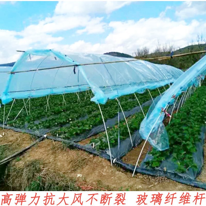 玻璃纤维棒保温菜棚支架8mm长4米骨架葡萄避雨棚拱棚杆