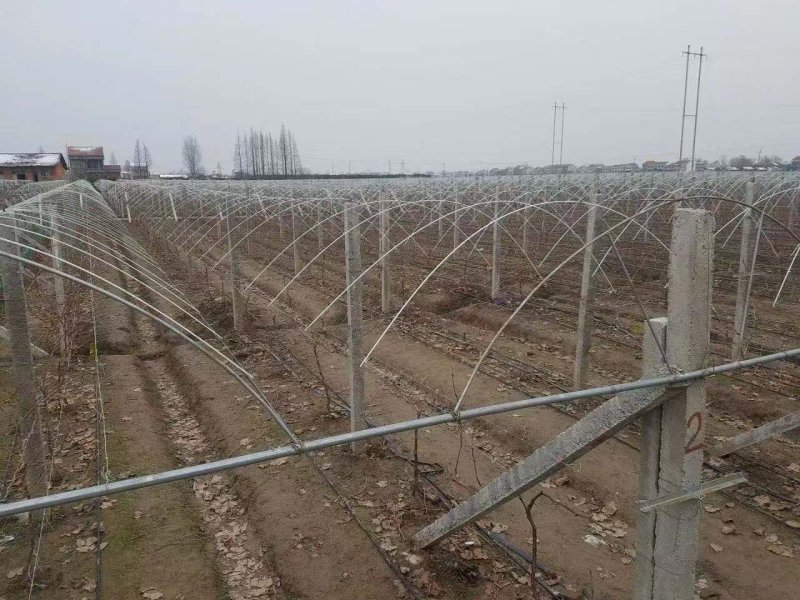 玻璃纤维棒保温菜棚支架8mm长4米骨架葡萄避雨棚拱棚杆