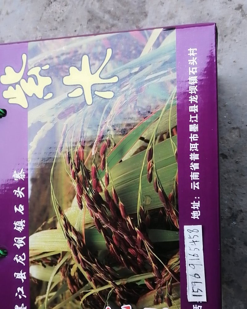 云南本地黄家贡米/优质紫米/量大价优/可视频看货/欢迎咨询