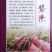 云南本地黄家贡米/优质紫米/量大价优/可视频看货/欢迎咨询