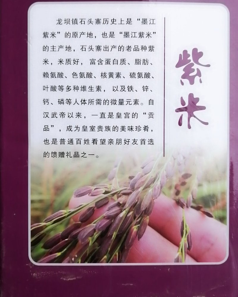 云南本地黄家贡米/优质紫米/量大价优/可视频看货/欢迎咨询
