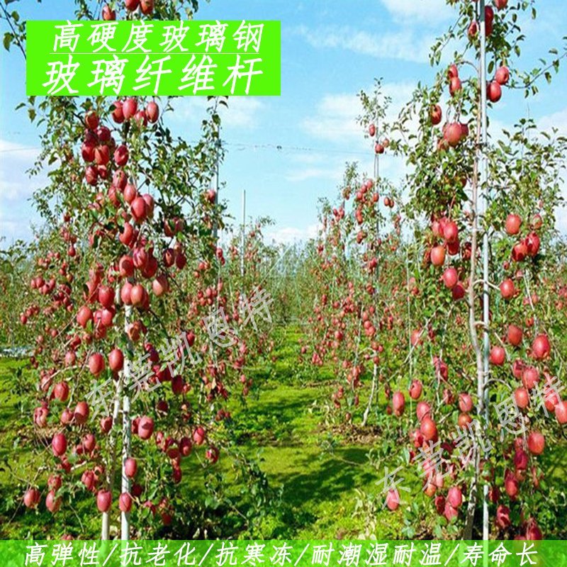 小拱棚支架拱杆45678毫米弓子骨架支撑杆玻璃纤维杆