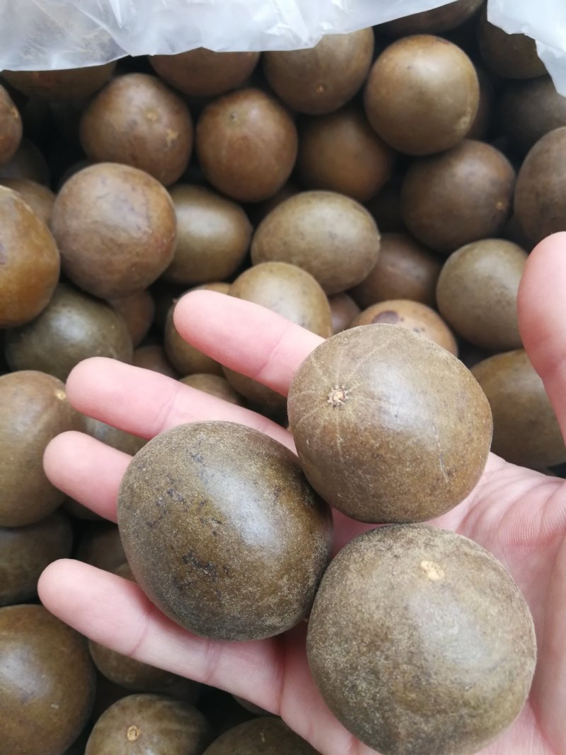 广西特产罗汉果特小罗汉果中个大个罗汉果