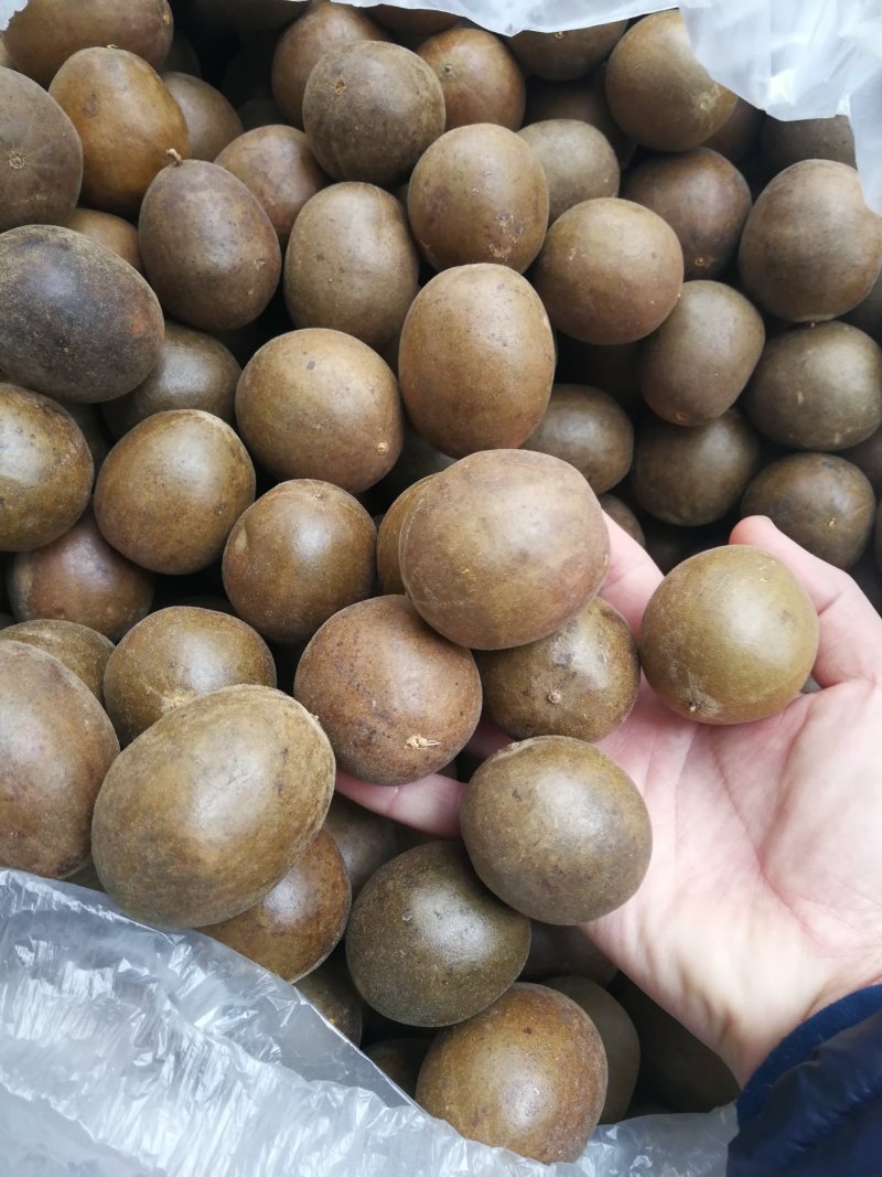 广西特产罗汉果特小罗汉果中个大个罗汉果