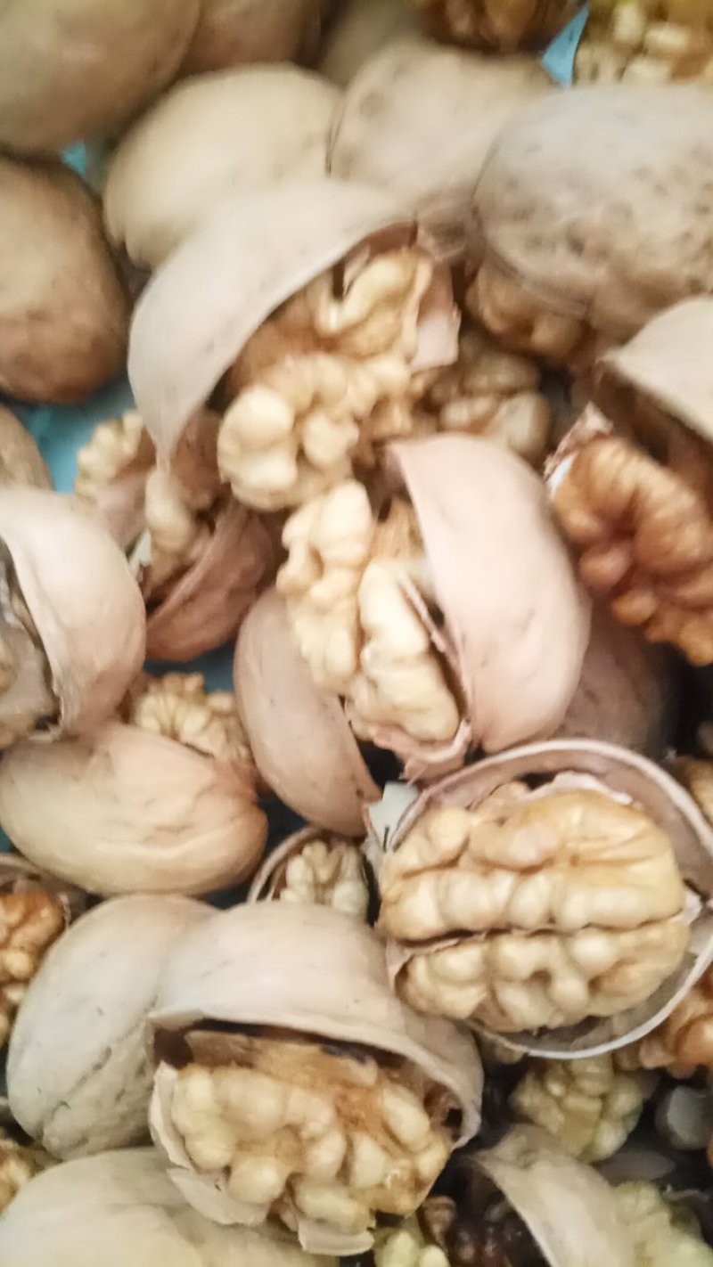 【核桃】新疆185纸皮核桃24年新货，自产自销