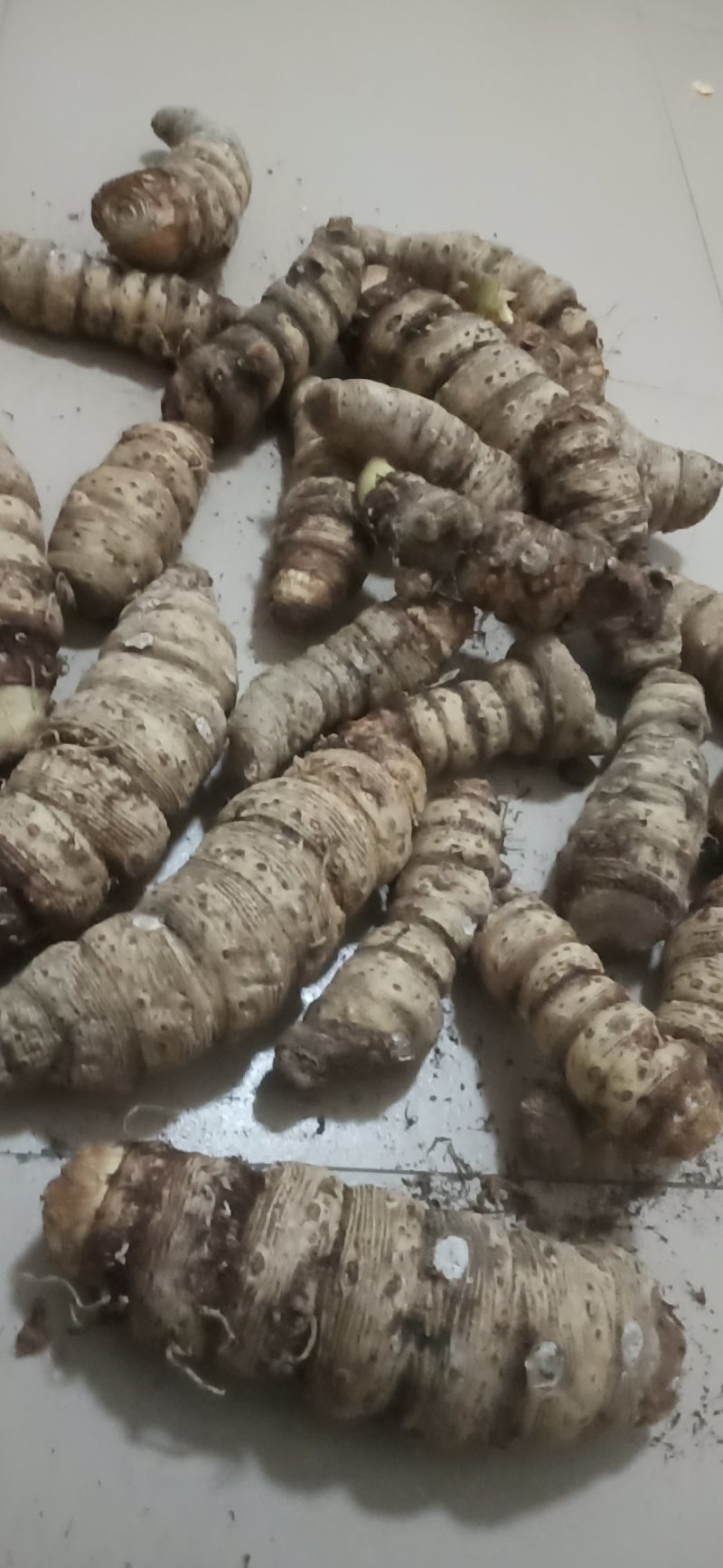 云南雪里见，个头大，含量高有需要的老板请多关照。