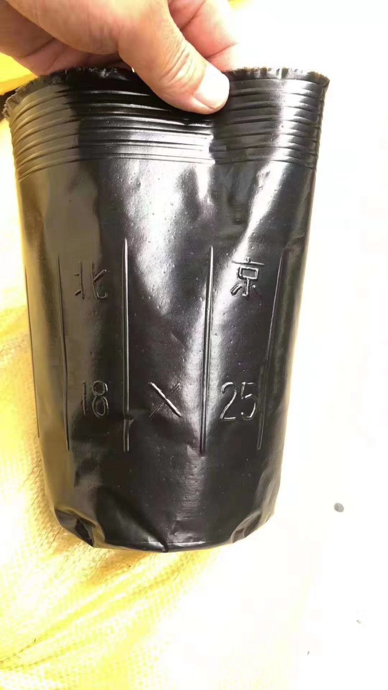 营养杯，营养铂包邮！利达塑料制品有限公司欢迎大家咨询订购