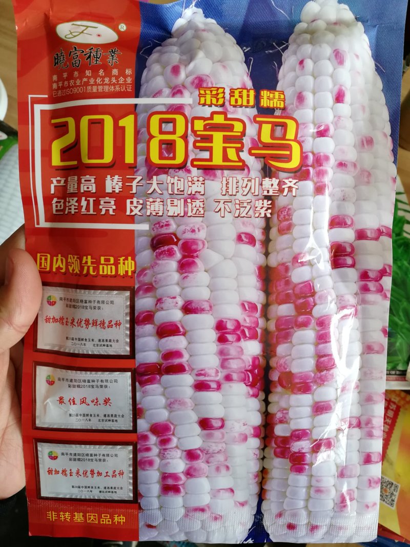 2018宝马彩甜糯甜玉米种子彩甜糯106甜糯