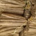 【纯沙地山药】河北棒山药小白嘴山药大量上市口感好代发
