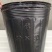 营养杯，营养铂包邮！利达塑料制品有限公司欢迎大家咨询订购