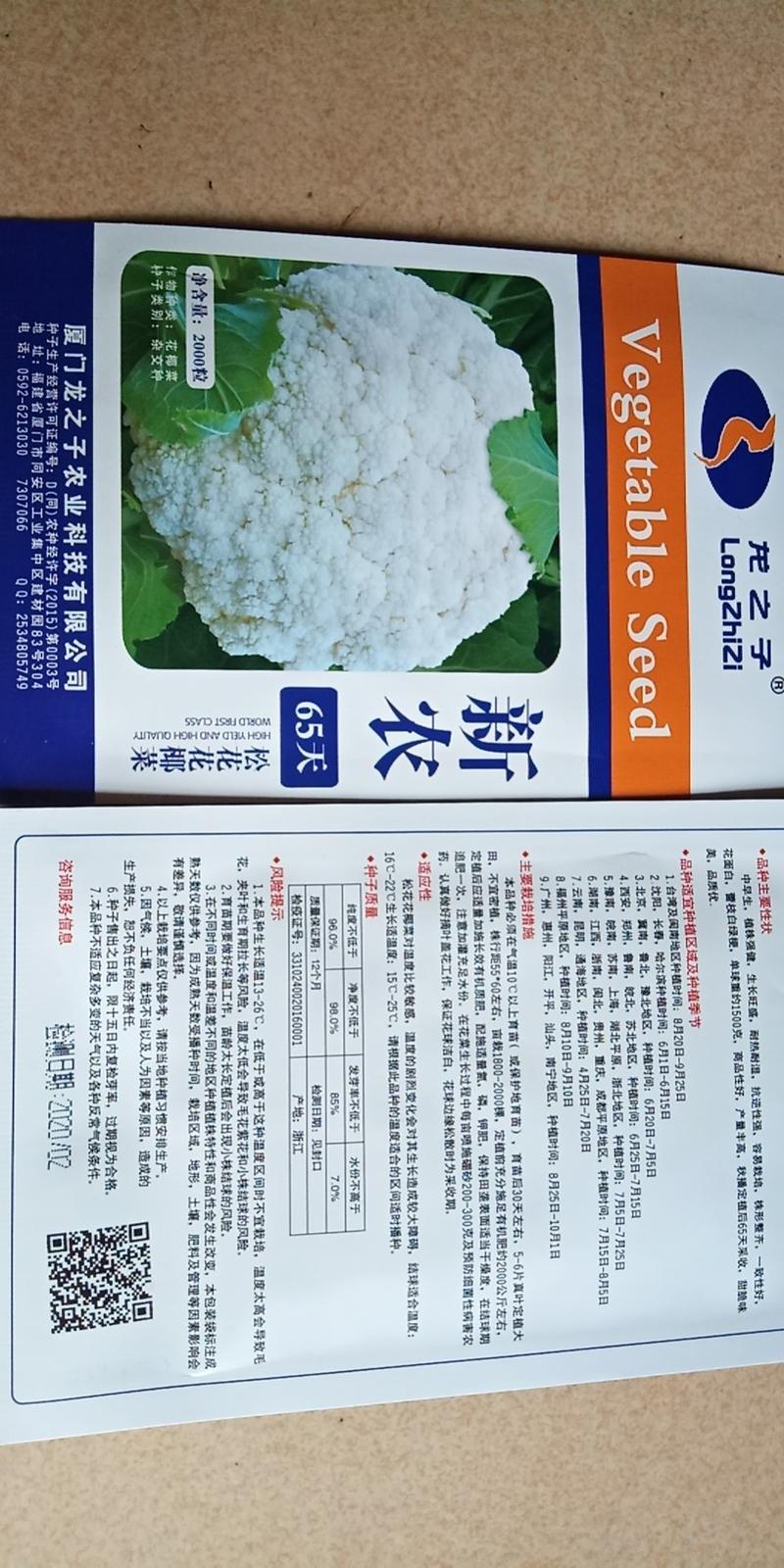 松花菜种子菜花种子雪莹系列抗病高产龙华小米系列