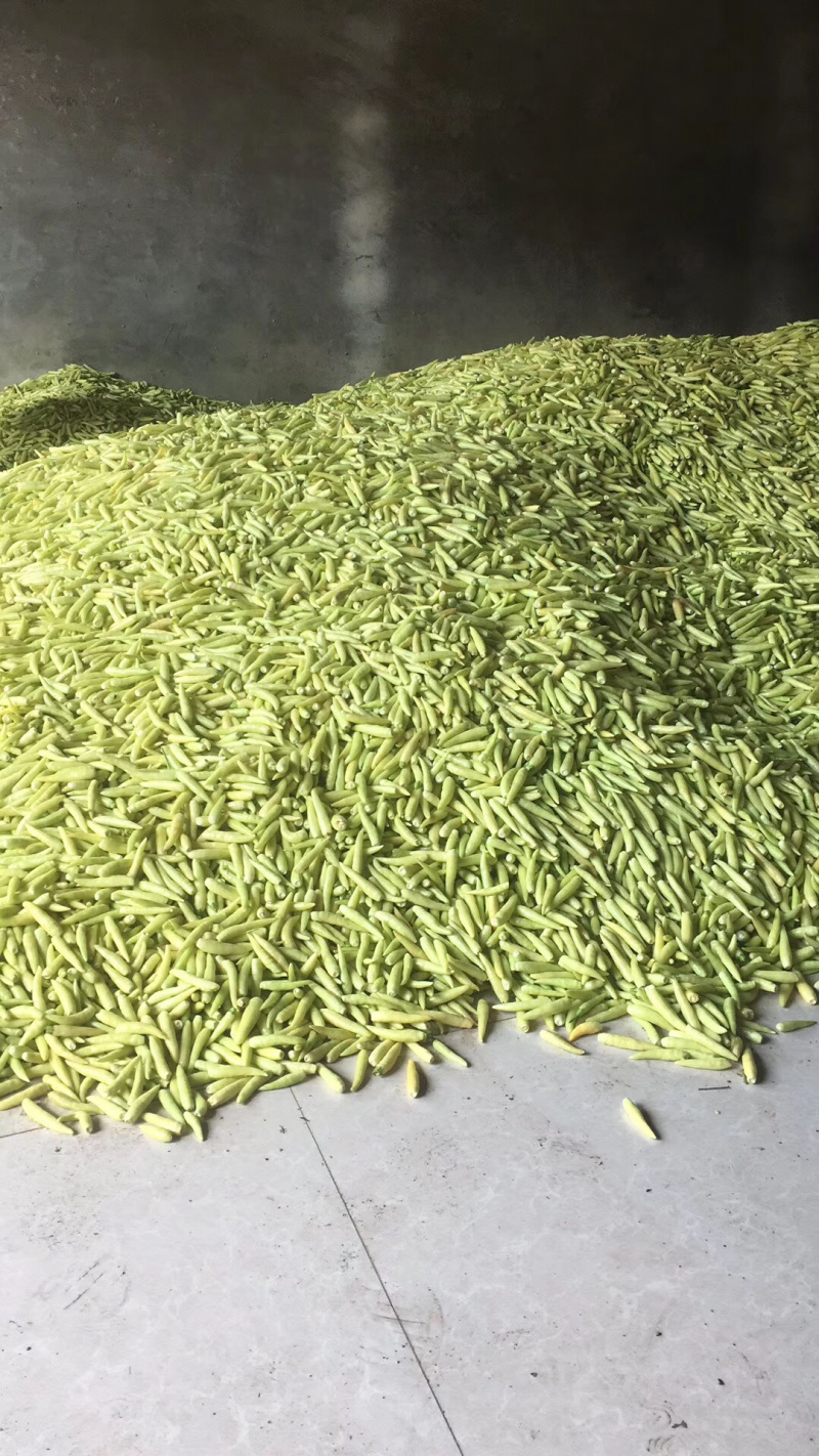 泡椒，红泡椒，产地直销欢迎采购