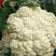 菜花，花菜1-3斤乳白紧花，产地直发，质量保证。