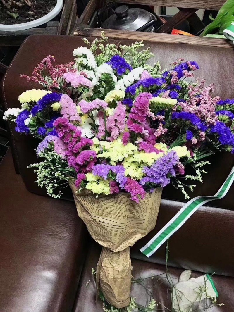 干鲜花勿忘我满天星情人草！产地一手货源