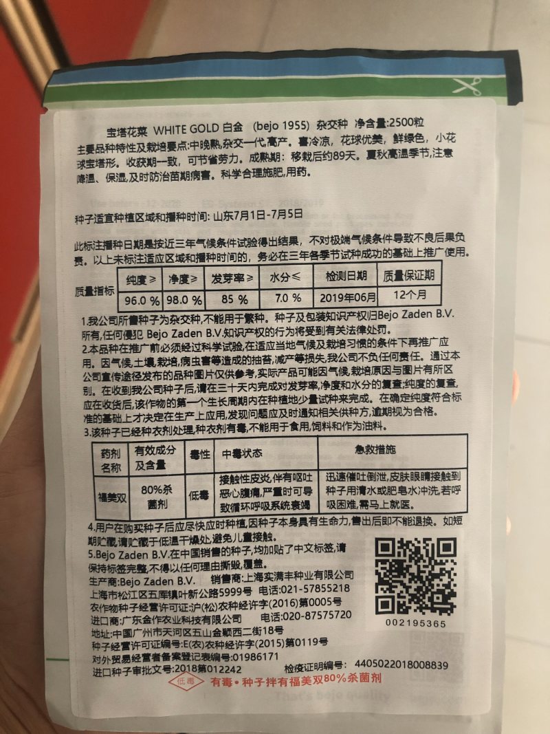 荷兰宝塔菜种子比久原装高产宝塔菜芽率高