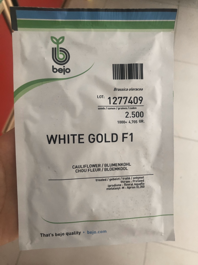 荷兰宝塔菜种子比久原装高产宝塔菜芽率高