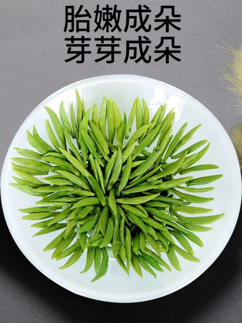 雀舌茶四川雀舌茶2026年雀舌茶包邮