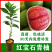 正宗红宝石青皮红心柚基地直发现挖现发保湿发货包邮
