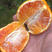 新鲜血橙现货供应果面光滑诚信商家放心购买包质量