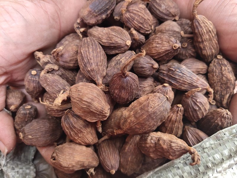 草果电烤炭烤调味香料调味料火锅底料云南越南产地零售批发