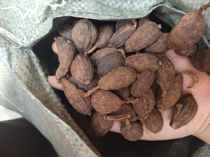 草果电烤炭烤调味香料调味料火锅底料云南越南产地零售批发