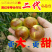 冬枣树苗沾化冬枣树苗新品2代保证纯度免费技术包邮