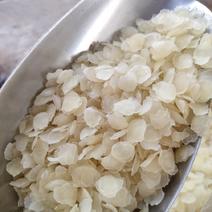 皂角米天然雪莲子野生高品质低糖产品批发