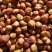 红缨子高粱种子（茅台专用）