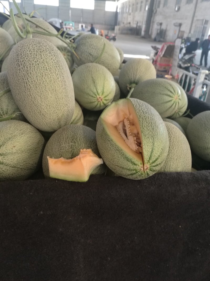 西州蜜25，脆甜可口，是我们这里的地理标志产品