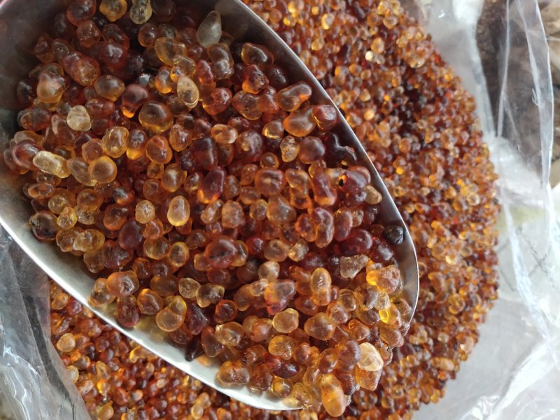 珍珠胶天然珍珠胶黄桃胶皂角米雪燕组合食用桃胶