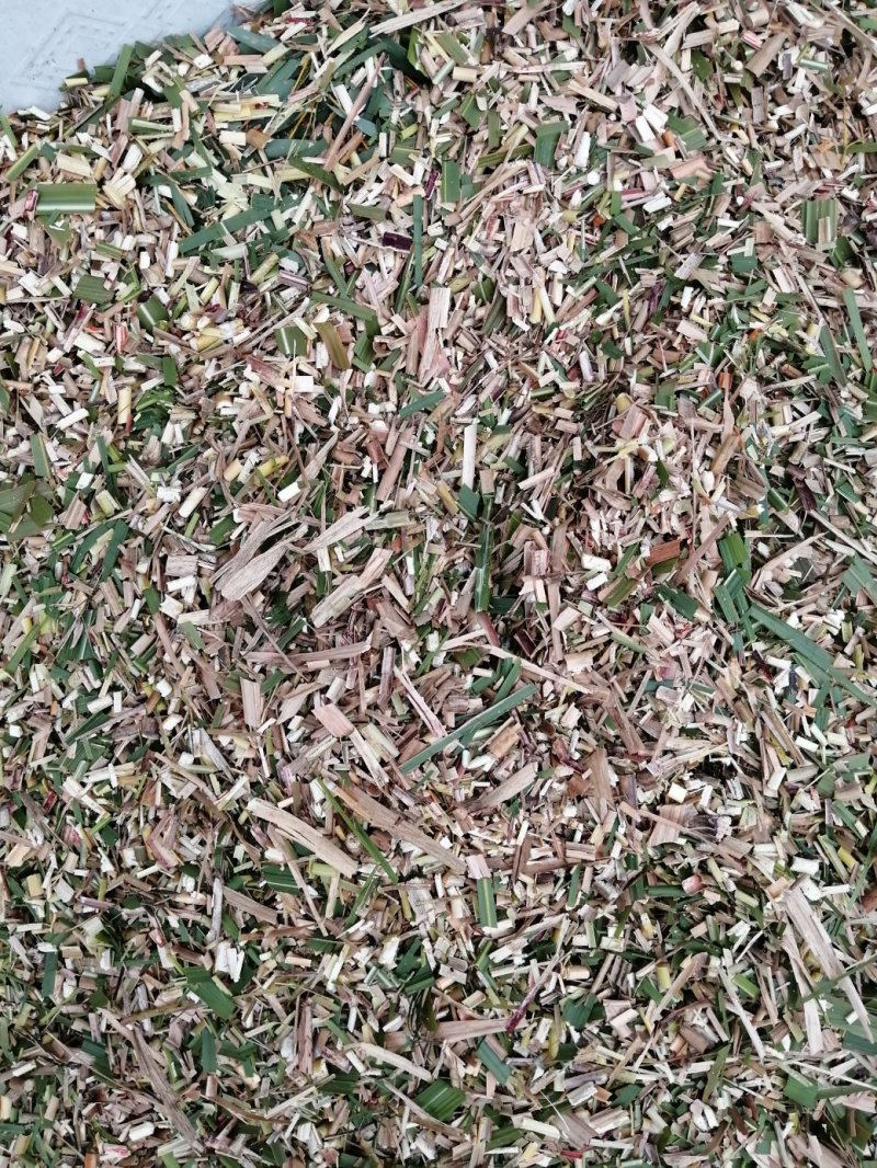 输送带铡草机切草机切菜机养殖切碎机，农场青饲料碎草机